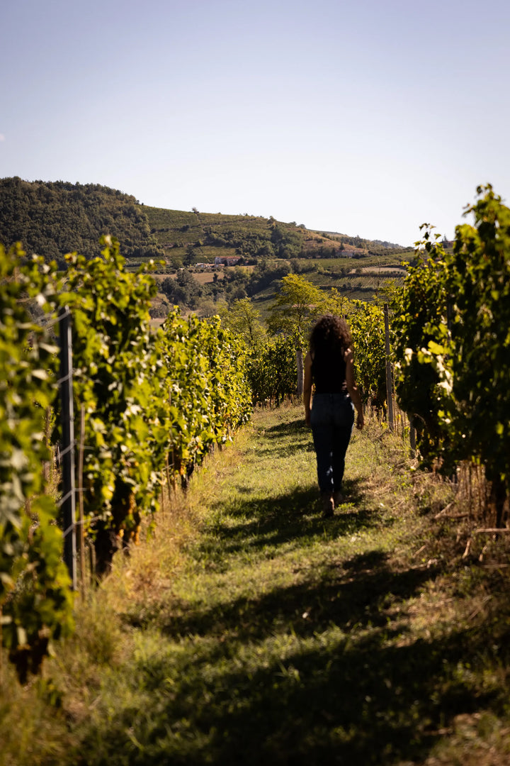 La nostra storia | La Scapina