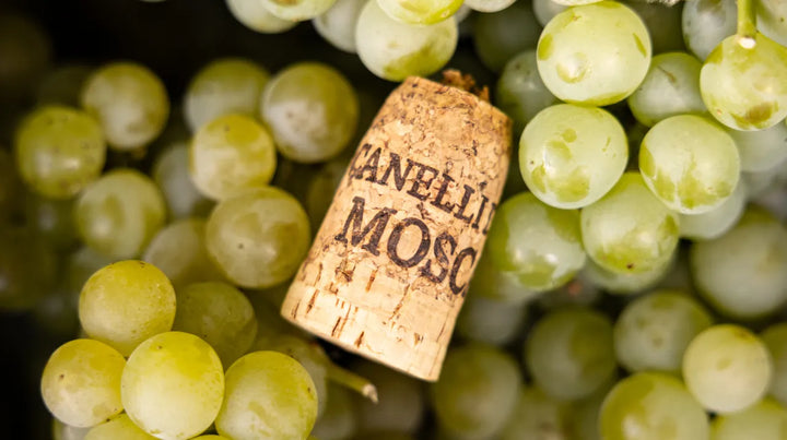 I nostri vini | La Scapina