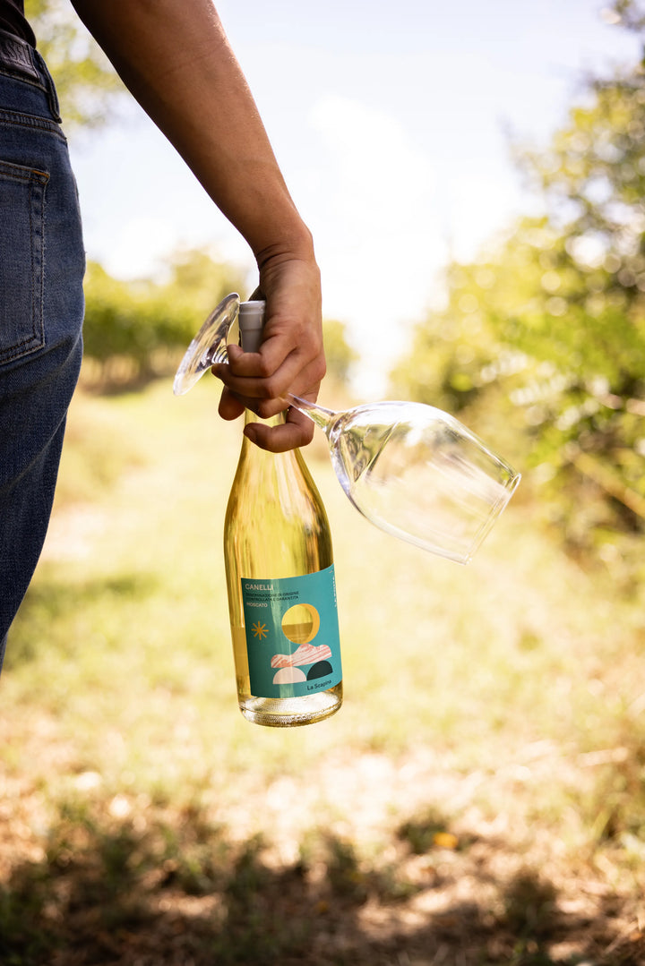 I nostri vini | La Scapina