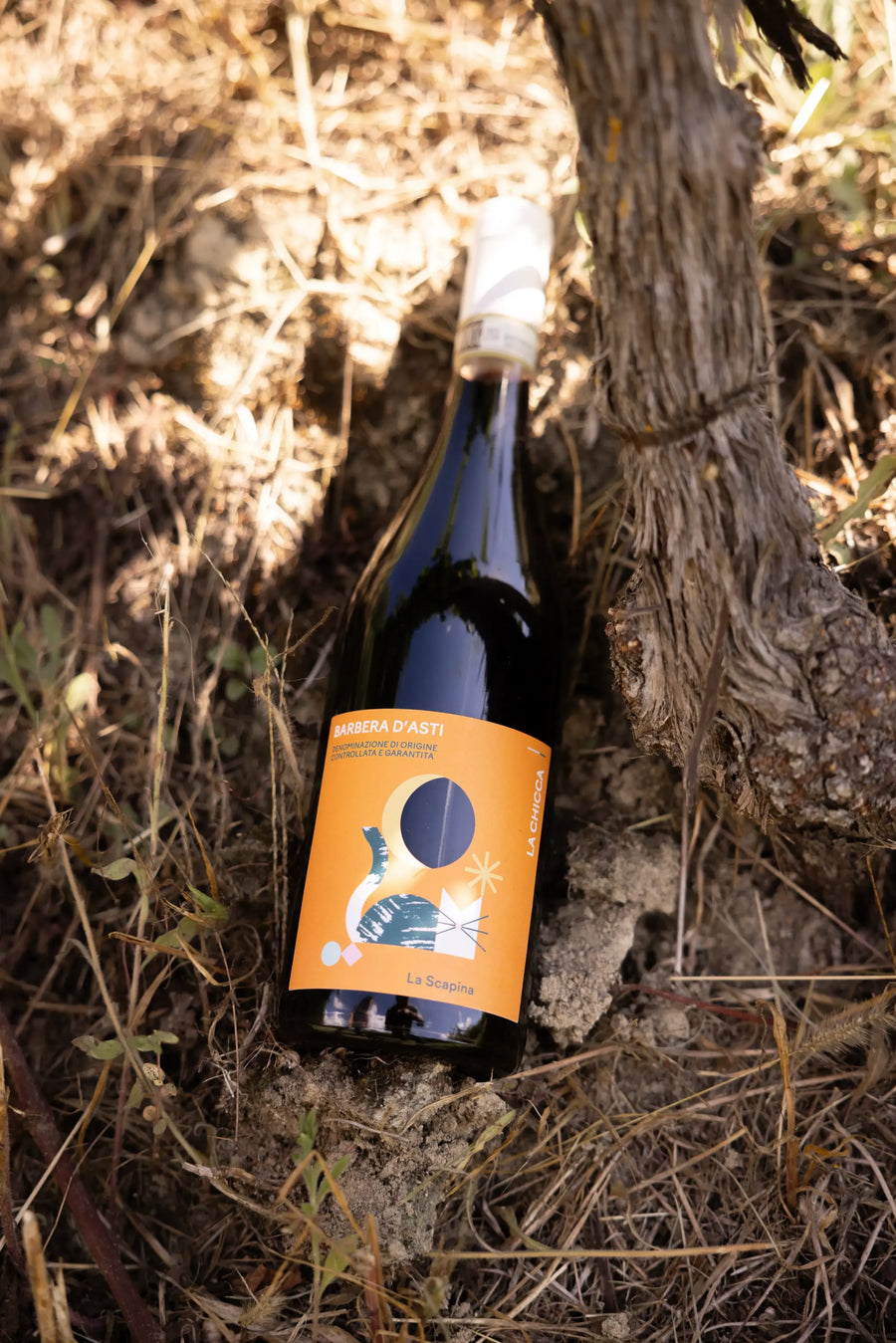 Barbera d'Asti | La Scapina